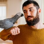 7 Fun Facts About Love Birds