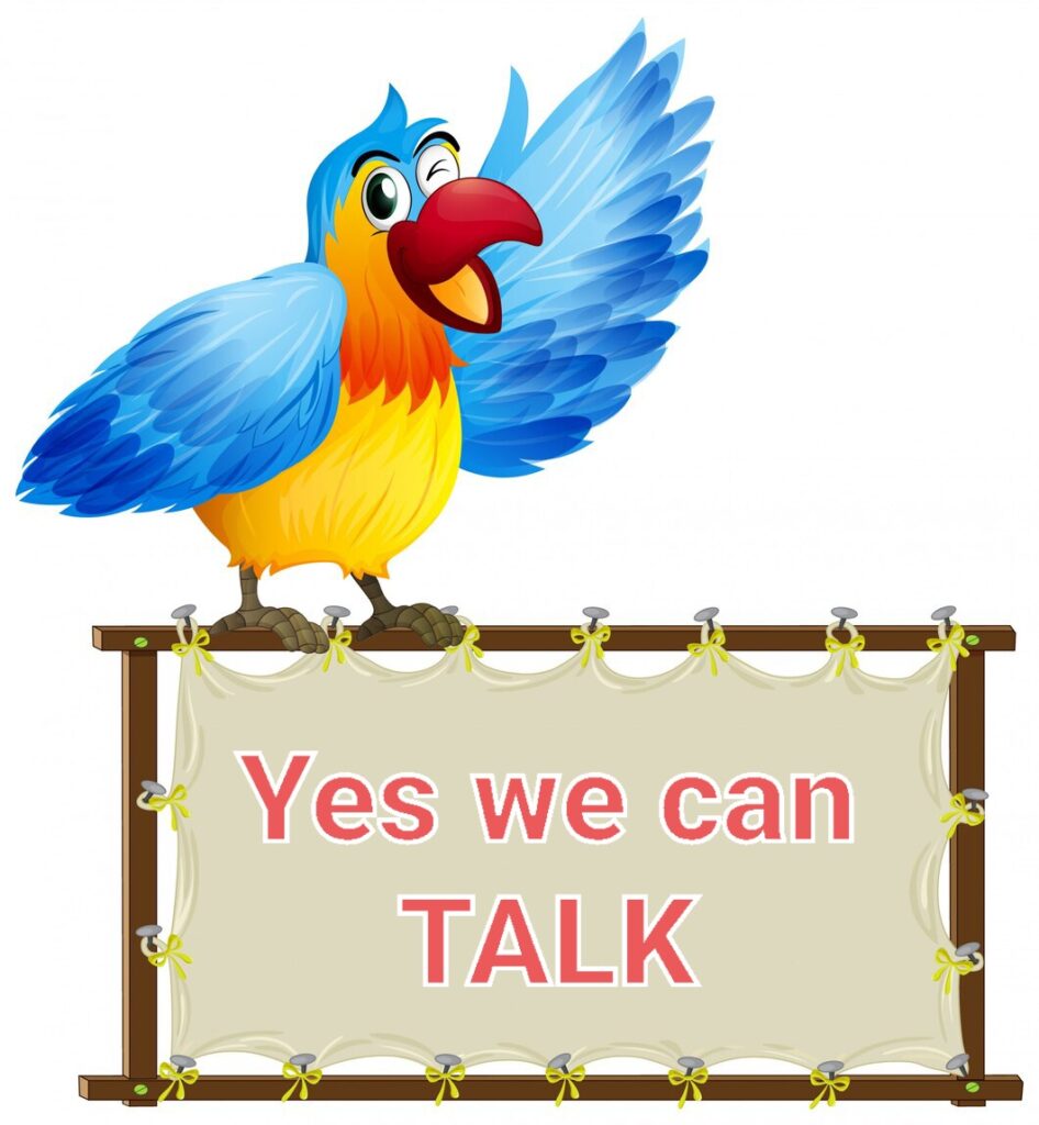 Do Parakeet Talk? How to train a Parakeet