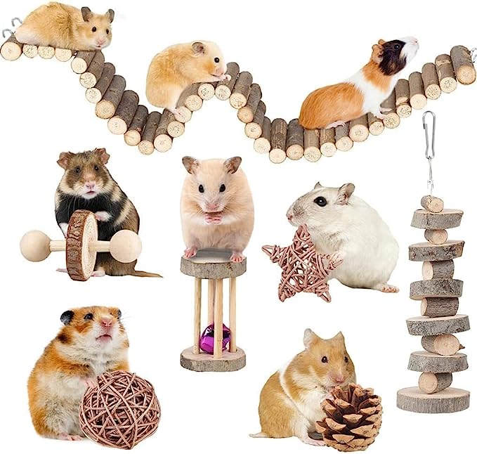 fun games for hamsters-aboutpetscare